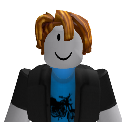 dhdhdgdhdg233 Roblox avatar torso