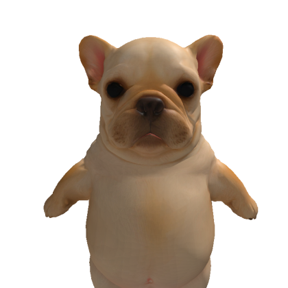 Sophi4miaa Roblox avatar torso