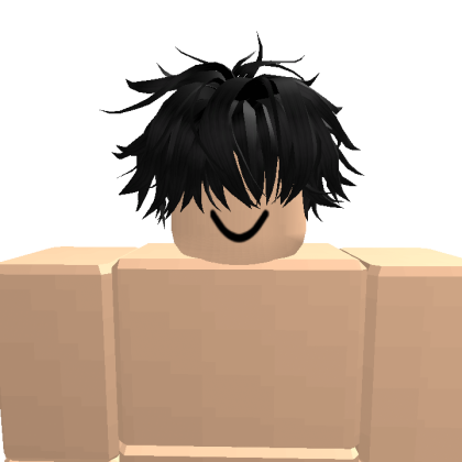 Takdgwqp Roblox avatar torso