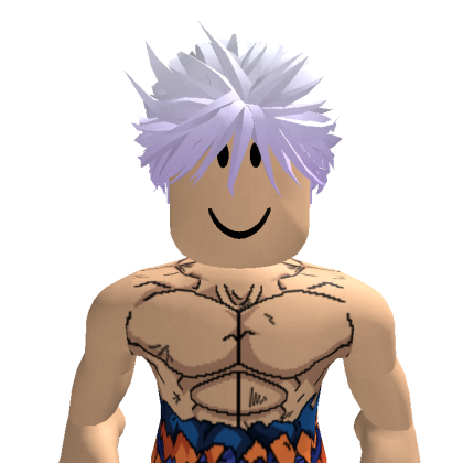 fizuo1 Roblox avatar torso