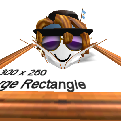 Hayden_45690 Roblox avatar torso