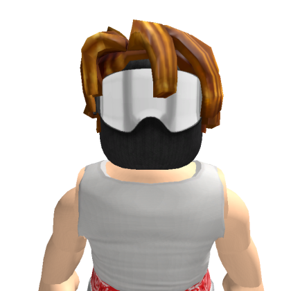 Pingolargoenbrasil Roblox avatar torso