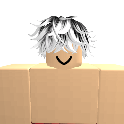 coollilwafers Roblox avatar torso