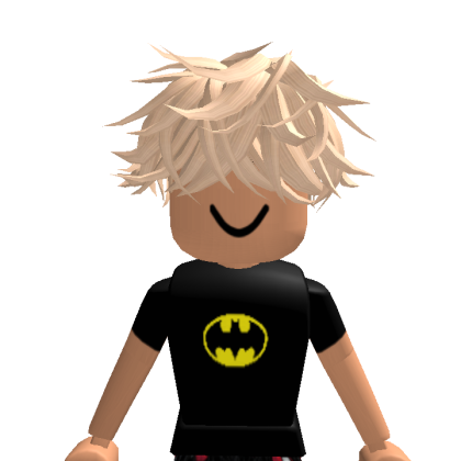 strangerthing1365 Roblox avatar torso