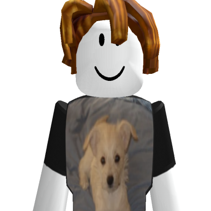 user_10202193591 Roblox avatar torso