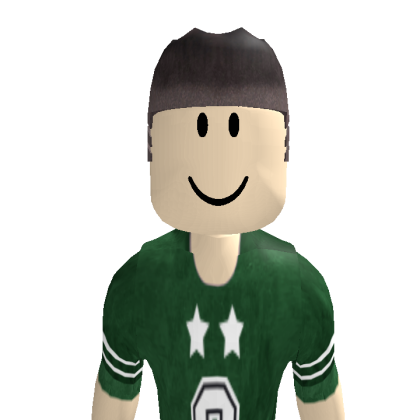 Aliesi53 Roblox avatar torso