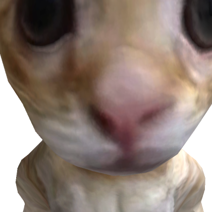 Insetbjdragon Roblox avatar torso