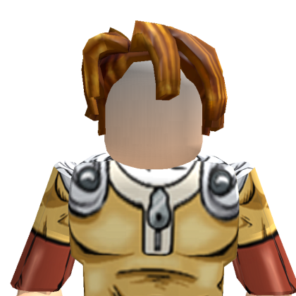 Flachenoirs Roblox avatar torso