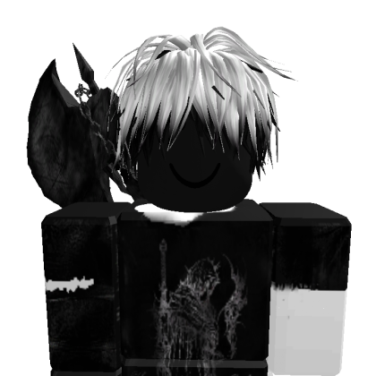 crazykidkid2024 Roblox avatar torso