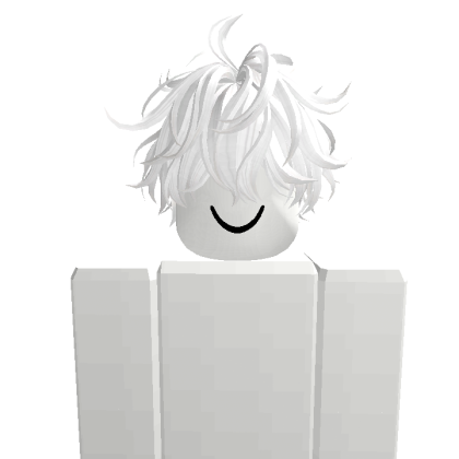 hono00525 Roblox avatar torso