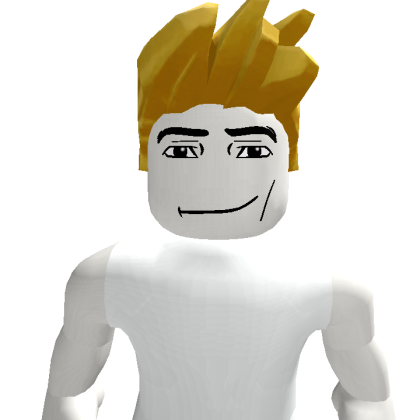 Lehung56799 Roblox avatar torso