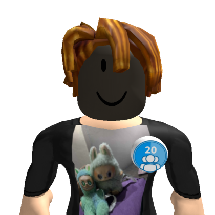 labubu65688 Roblox avatar torso