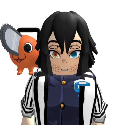 Tortiekid Roblox avatar torso