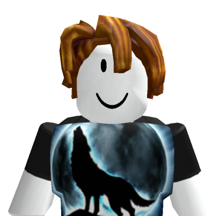 Van_120386 Roblox avatar torso