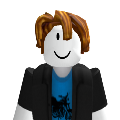 dillybear303 Roblox avatar torso