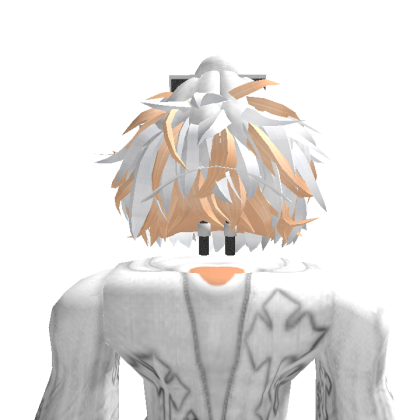 fanny10233 Roblox avatar torso