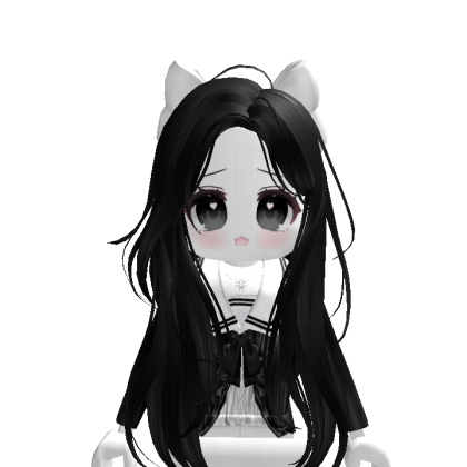 SSSLLL1238 Roblox avatar torso