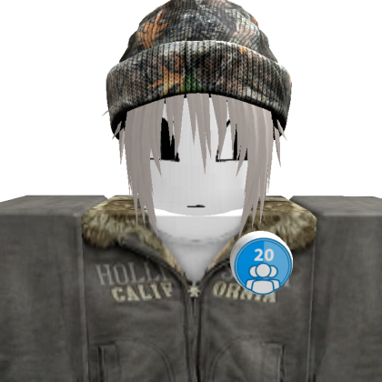 arii1129_315 Roblox avatar torso