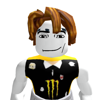 user_3993111429 Roblox avatar torso