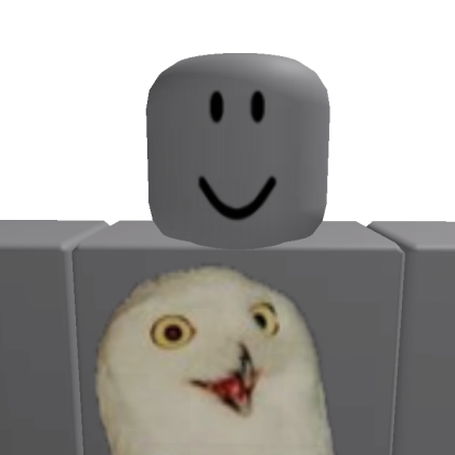 souta_sota12 Roblox avatar torso