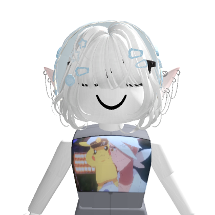 qkrwnl6511 Roblox avatar torso