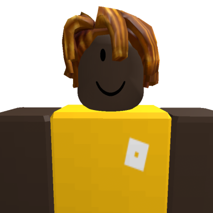 Ansar_Aliakbar Roblox avatar torso