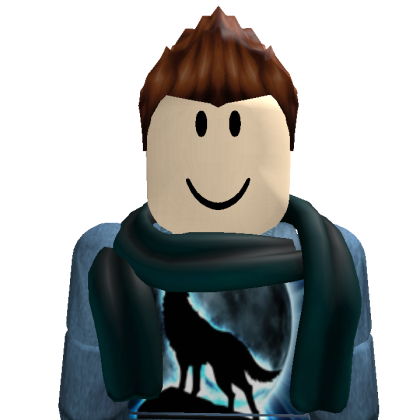 eidansito317 Roblox avatar torso