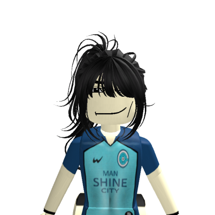 fahirachan24 Roblox avatar torso