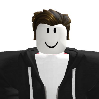 FLAX_0124 Roblox avatar torso