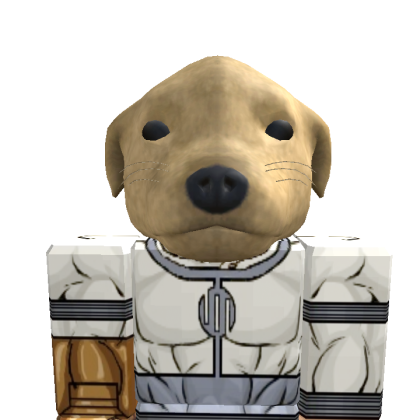 YT_Esderlix Roblox avatar torso