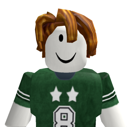 Picine16 Roblox avatar torso