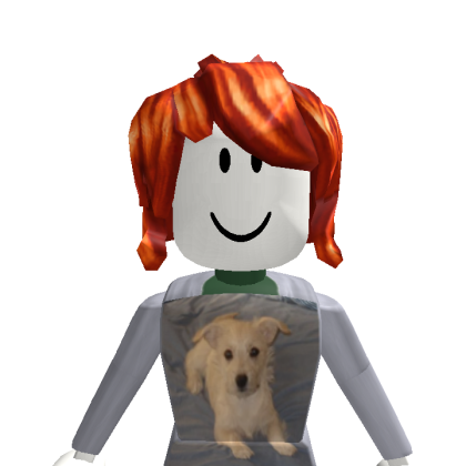 eyeygudyfuh Roblox avatar torso