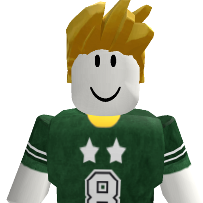 Jaydenami13 Roblox avatar torso