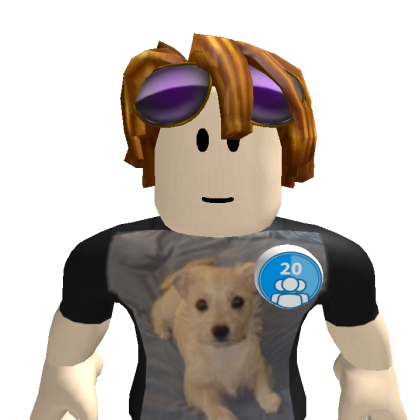 Karimka797 Roblox avatar torso