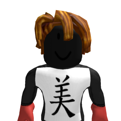 LindaNguyen68109 Roblox avatar torso