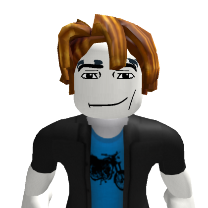 ddiser8 Roblox avatar torso