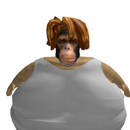 Wadthecoolguy1133 Roblox avatar torso