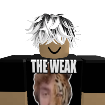 Altra6103 Roblox avatar torso