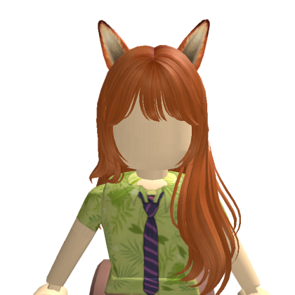 taopy_12 Roblox avatar torso