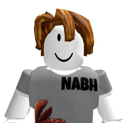 s7udl2 Roblox avatar torso