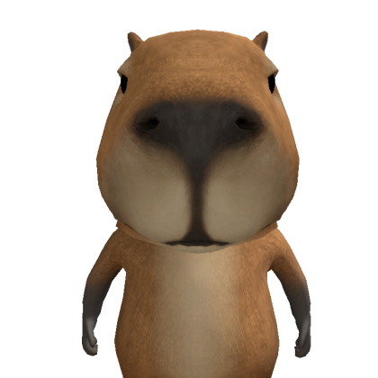 renatoo504 Roblox avatar torso