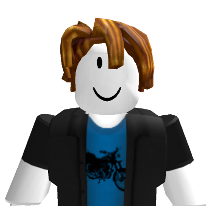 sigunati2059 Roblox avatar torso