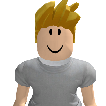 Fhskjshjiifi Roblox avatar torso