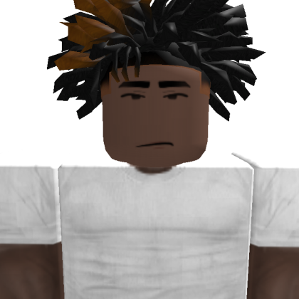 noogdfwe Roblox avatar torso