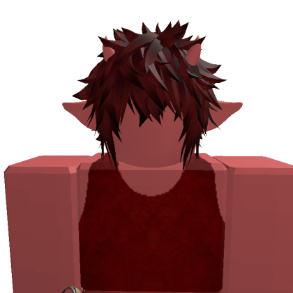 kota