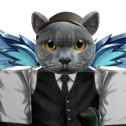 inanito_6 Roblox avatar torso