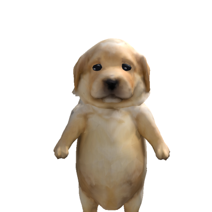 cruz10450 Roblox avatar torso