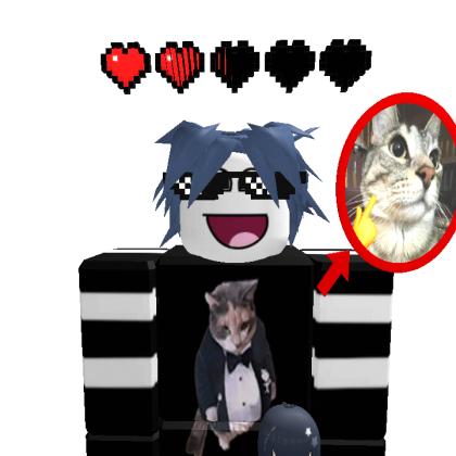 eskinidi684 Roblox avatar torso