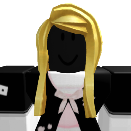 Galletita_00009 Roblox avatar torso