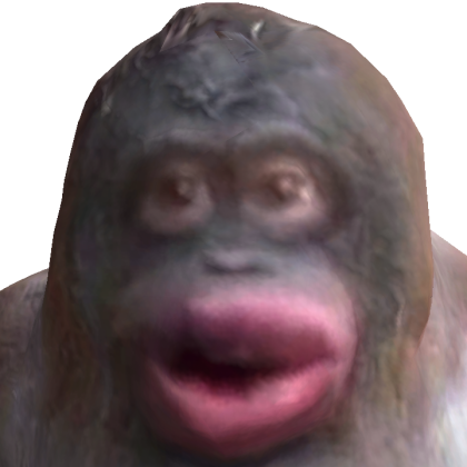 56k07 Roblox avatar torso